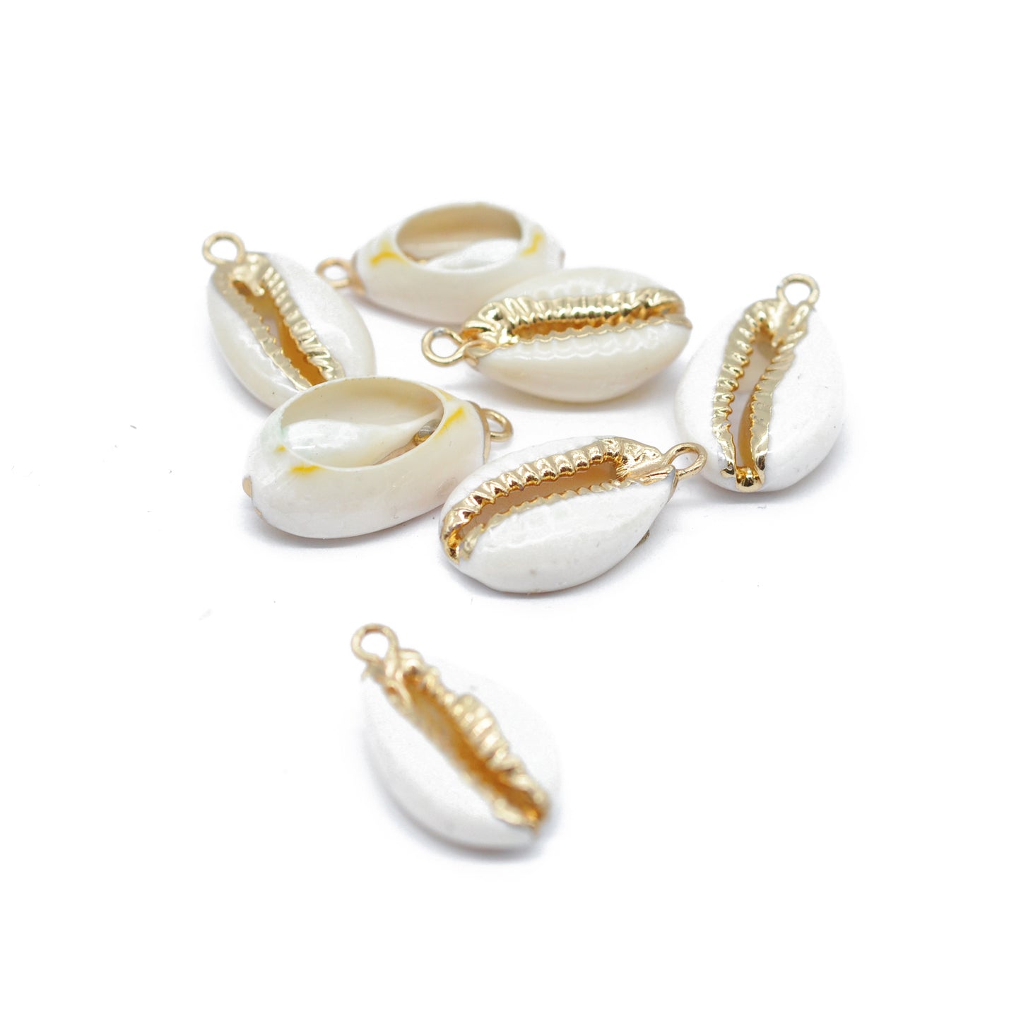 Cowrie shell pendant / 12x20mm